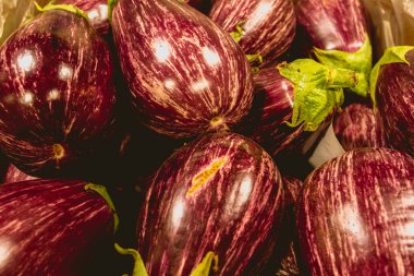 Valensiya orchard üzerinden patlıcan