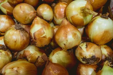 Valensiya orchard üzerinden soğan