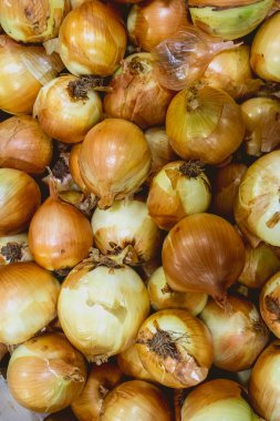 Valensiya orchard üzerinden soğan