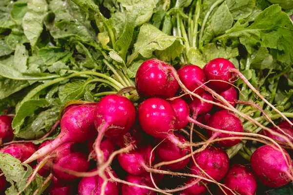 Valensiya orchard üzerinden taze turp