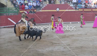 Requena, İspanya - 2 Eylül 2017: Arena, Varea, İspanyol gelenek