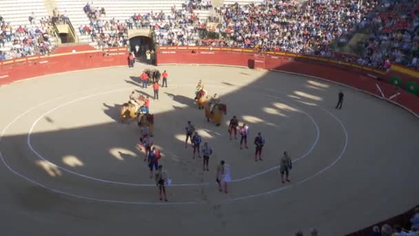 Requena Spanien September 2017 Stierkampfarena Stierkämpfer Die Den Ring Steigen — Stockvideo