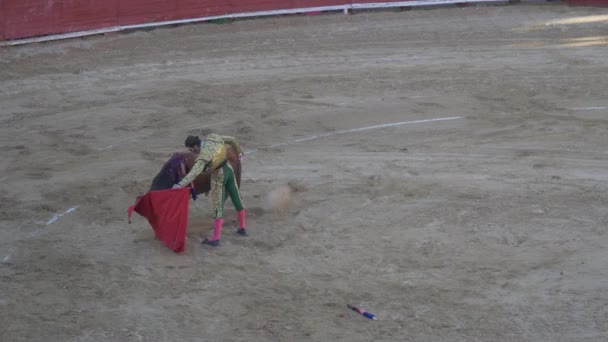 Requena Espanha Setembro 2017 Bullring Juan Jose Padilla — Vídeo de Stock