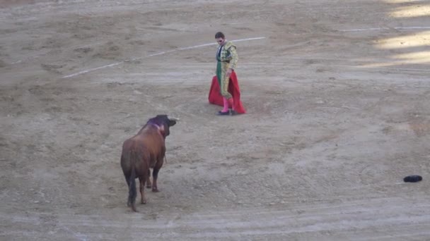 Requena Ισπανία Σεπτεμβρίου 2017 Αρένα Ταυρομαχιών Juan Jose Padilla — Αρχείο Βίντεο