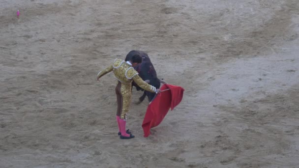 西班牙雷塞纳 2017年9月2日 斗牛场 耶稣杜克 西班牙传统 — 图库视频影像