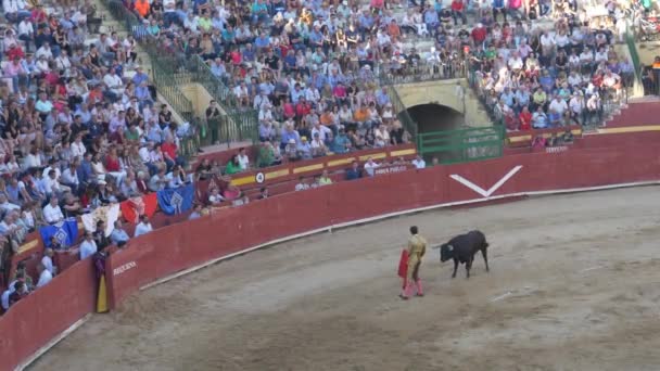 Requena Spanyolország 2017 Szeptember Bikaviadal Aréna Jesus Duque Spanyol Hagyomány — Stock videók