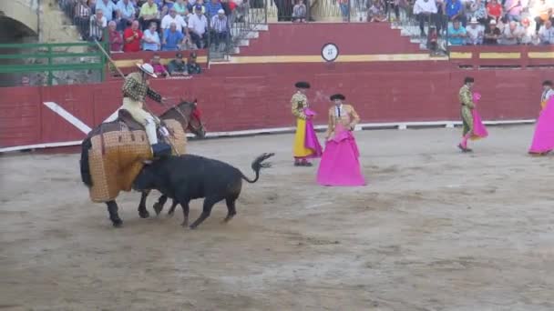 Requena Spain September 2017 Bullring Varea Spanish Tradition — Stock Video
