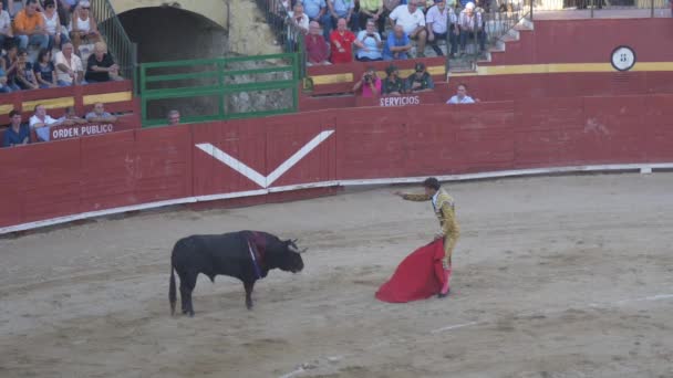 Requena Spanien September 2017 Bullring Jesus Duque Spansk Tradition — Stockvideo