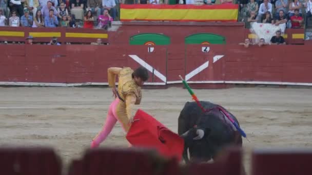 Requena Spanien September 2017 Tyrefægtning Varea Spansk Tradition – Stock-video