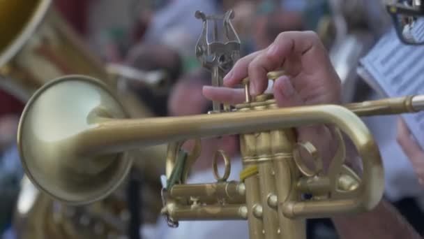 Requena Espanha Setembro 2017 Músicos Tournée Espanha Entretendo Tourada — Vídeo de Stock