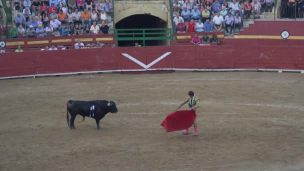 Requena Spanien September 2017 Stierkampfarena Juan Jose Padilla — Stockvideo