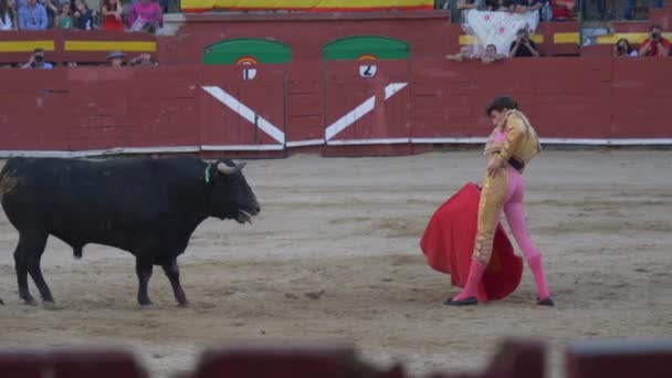 Requena Spanien September 2017 Tyrefægtning Varea Spansk Tradition – Stock-video