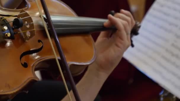 演奏小提琴的音乐家手 — 图库视频影像