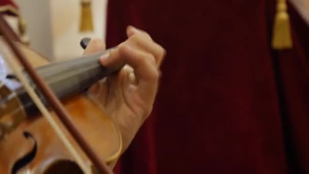 Μουσικός Χέρι Παίζει Βιολί — Αρχείο Βίντεο