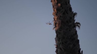 Güneşli bir günde şehrin içinden uçan helikopter