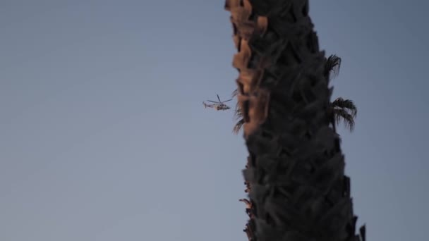 Ελικόπτερο Που Φέρουν Μέσα Από Την Πόλη Μια Ηλιόλουστη Ημέρα — Αρχείο Βίντεο