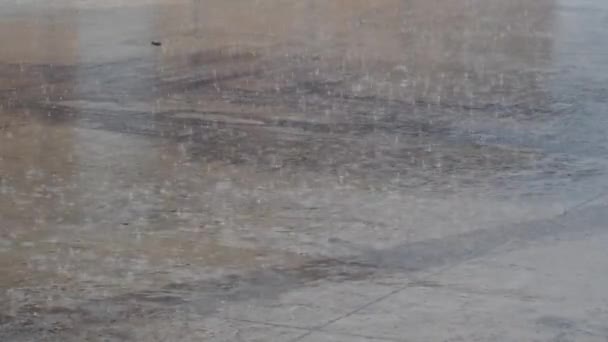 Βροχή Κατά Διάρκεια Μιας Χειμερινής Μέρας Πέφτουν Στο Δρόμο — Αρχείο Βίντεο