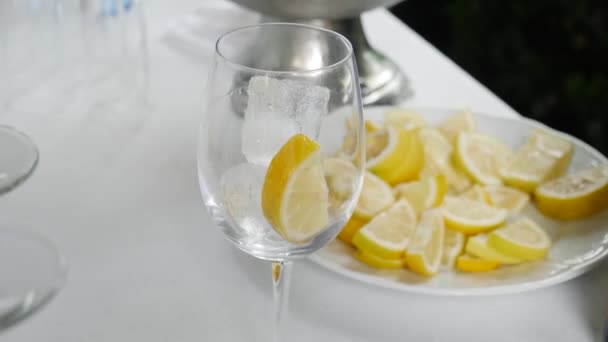 Ober Glas Aperitief Serveren Met Alcohol — Stockvideo