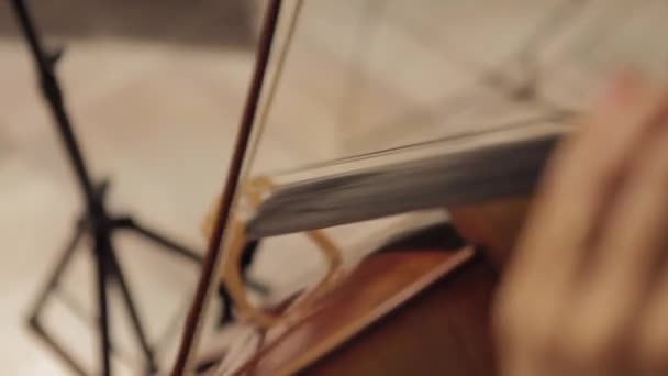 Mão Músico Tocando Violoncelo — Vídeo de Stock