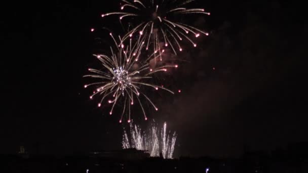 Dazzling Fireworks Radiating Night Skyline — Stock Video