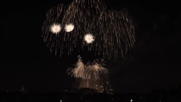 Deslumbrantes Fuegos Artificiales Irradian Horizonte Nocturno — Vídeos de Stock