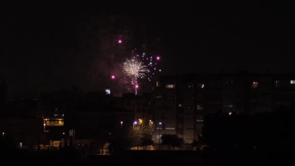 Fuochi Artificio Abbaglianti Irradiano Skyline Notturno — Video Stock