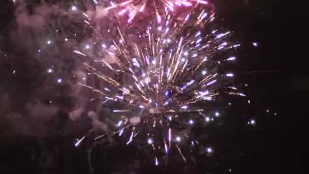 Des Feux Artifice Éblouissants Rayonnent Dans Horizon Nocturne — Video