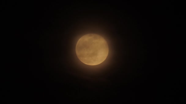 Vollmond Bewölkten Himmel Schwarze Wolken Bedecken Den Mond Beschleunigter Kamera — Stockvideo