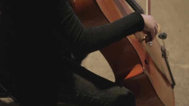 Woman Playing Double Bass Concert — 비디오