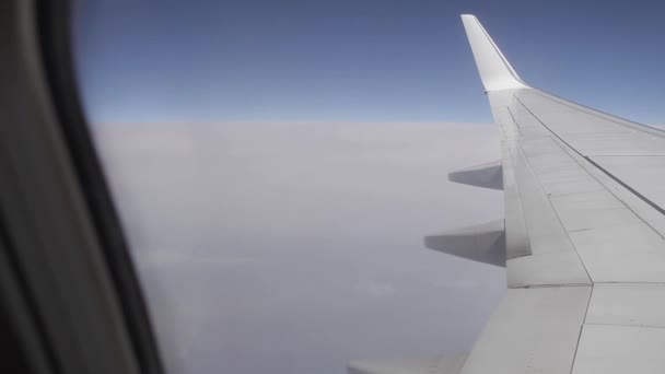 Die Beliebteste Ecke Für Flugreisen Ist Fenster Sitzen Und Den — Stockvideo