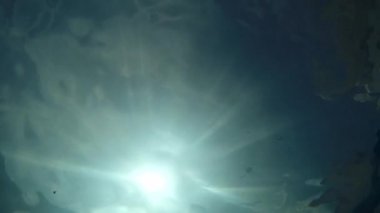 Yaz havuzunda oynayan genç bir çocuk, spor kamerası ve suyla.