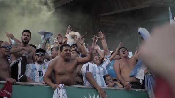 Elche Ισπανία Οκτωβρίου 2019 Ποδοσφαιρικός Αγώνας Αργεντινή Εκουαδόρ Αργεντινή Φίλαθλοι — Αρχείο Βίντεο