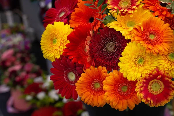 Grande Buquê Flores Laranja Brilhantes Gerberas — Fotografia de Stock