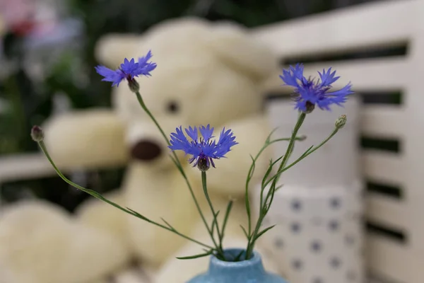 Flor Aciano Azul Sobre Fondo Borroso — Foto de Stock