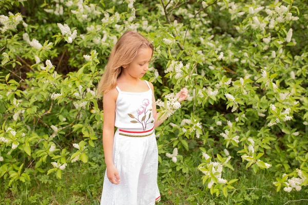 Маленькая Девочка Светлом Платье Фоне Цветущего Дерева Цвета Белый Зеленый Стоковая Картинка