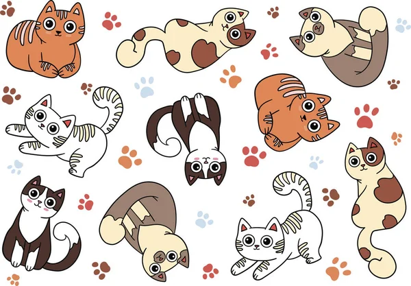 Funny Pattern Cute Cats Big Eyes White Gray Brown Color ストックベクター
