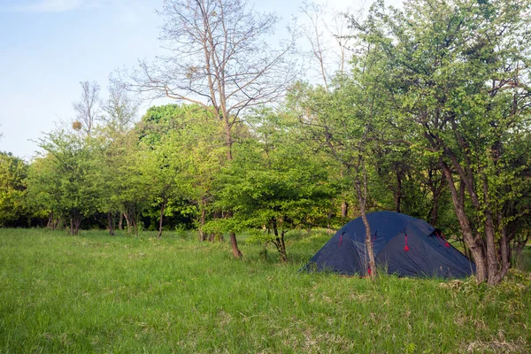 夏日清晨森林附近的草地上的旅游帐篷 — 图库照片