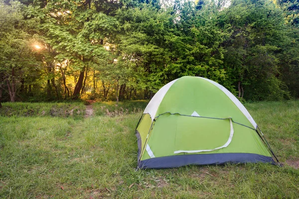 Tente Touristique Sur Herbe Près Forêt Été Matin — Photo