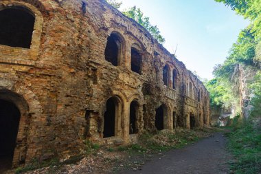 eski binanın duvarının yakınında bitkiler ile güneşli gün aşırı büyümüş kemerli yok  