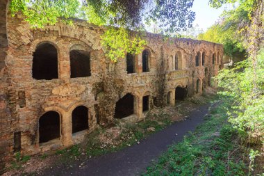 eski binanın duvarının yakınında bitkiler ile güneşli gün aşırı büyümüş kemerli yok  