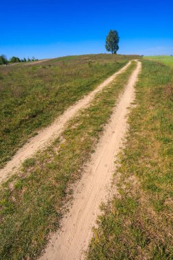 Yeşil alan ve zemin üzerine mavi gökyüzü ile kırsal kumlu yol 