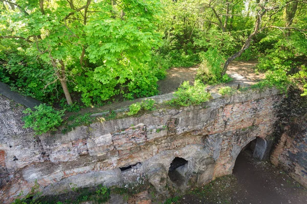 Bitkilerle Büyümüş Antik Tahrip Olmuş Duvar — Stok fotoğraf