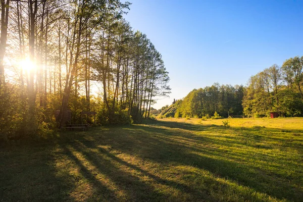 Prairie Verte Été Avec Bois Journée Ensoleillée — Photo