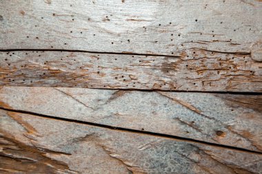 Soyut kahverengi doğal ahşap doku