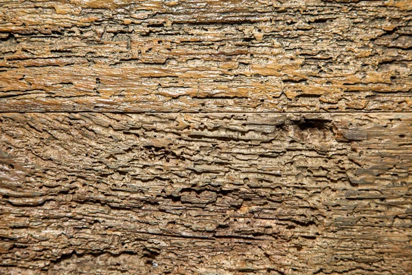 Absztrakt Barna Természetes Fából Készült Szerkezet — Stock Fotó