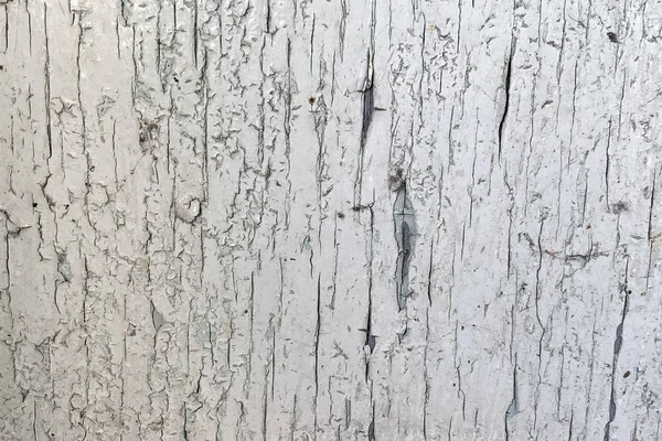 Vieux Mur Bois Avec Peinture Blanche Fissurante — Photo