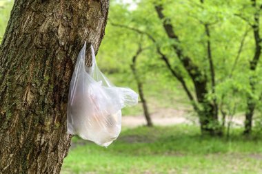 yaz parkında ağaç gövdesine asılı plastik torba, çevre ve plastik kavramı  