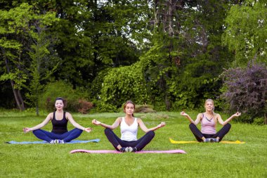 Güzel sağlıklı sümüklü genç kadın lotus pozlar ve parkta yeşil çim üzerinde kapalı gözlerle meditasyon oturarak Grubu