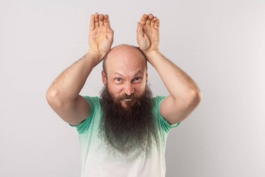 komik deli orta yaşlı kel adam açık yeşil t-shirt tavşan kulakları jest gösteren ve gri arka planda kamera bakarak uzun sakallı