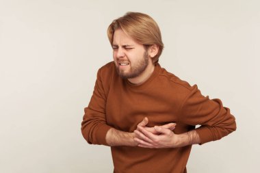 Cardiac health problems. Portrait of bearded man in sweatshirt having sudden painful spasm in chest, suffering heart attack, myocardial infarction. indoor studio shot isolated on gray background